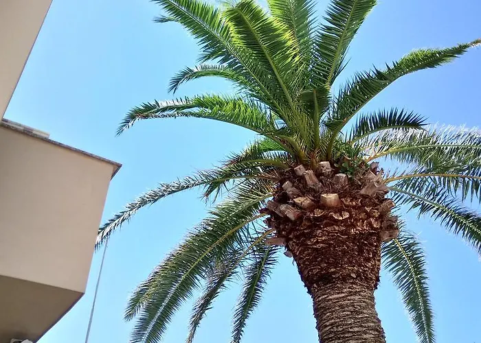 Burin Dvor Apartman *